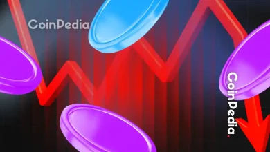 Ran Neuner反驳比特币崩盘恐慌：牛市仍将持续